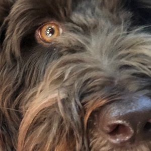 Meet your Posher, Tammy